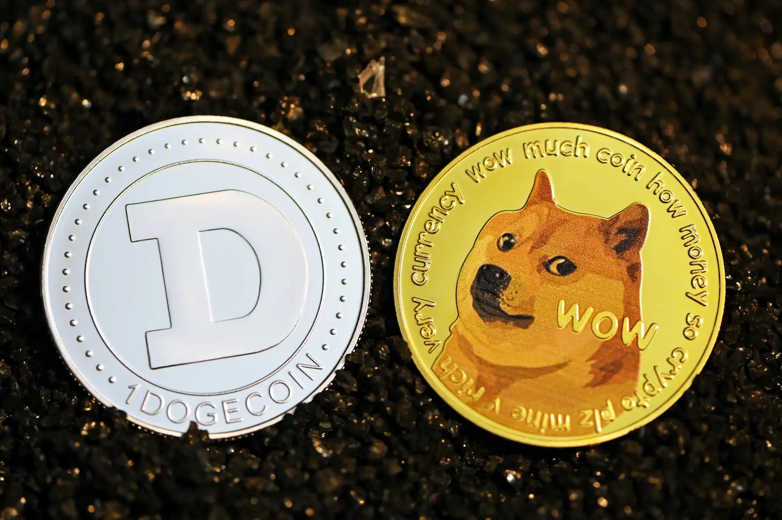 Two Dogecoins; one with symbol D and another with Shiba Inu meme image