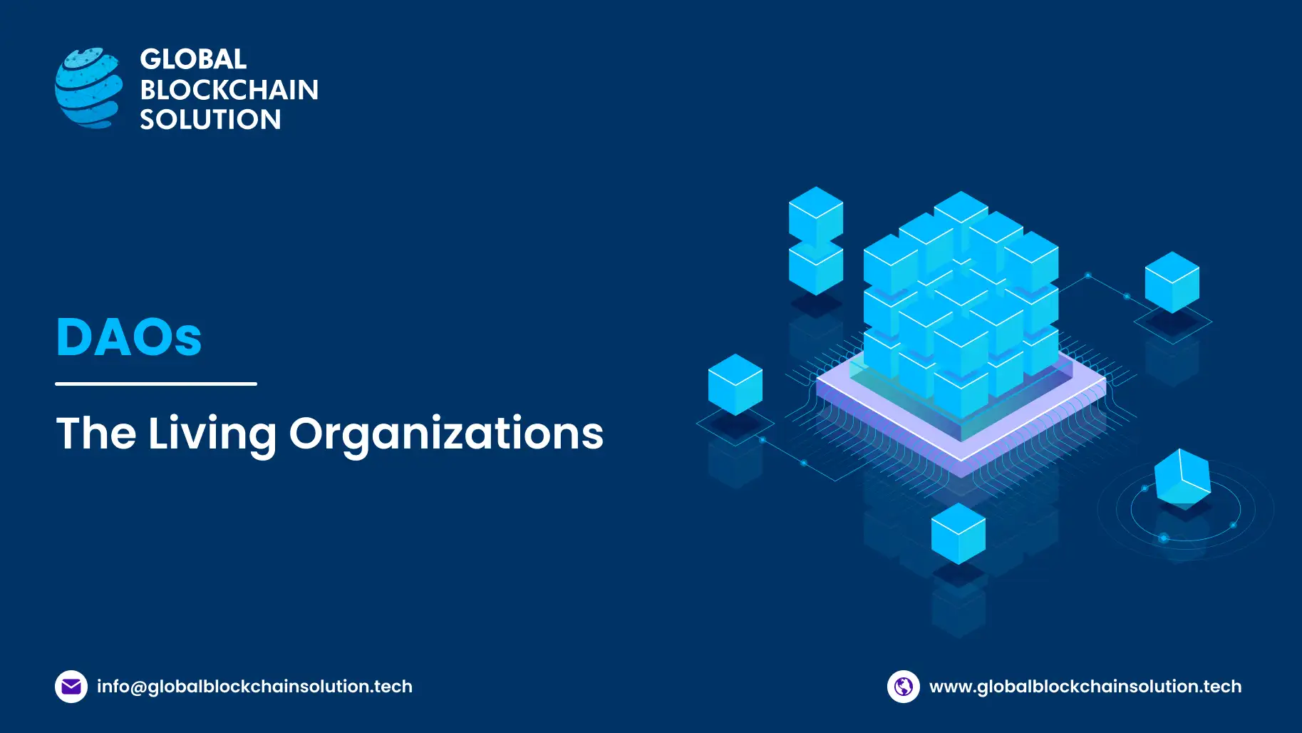 What Is a Decentralized Autonomous Organization?